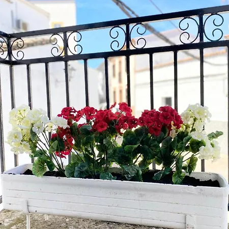 Puebla Deluxe L Privacidad E Intimidad *