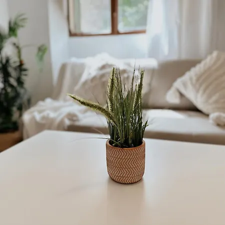 Puebla Deluxe L Privacidad E Intimidad *