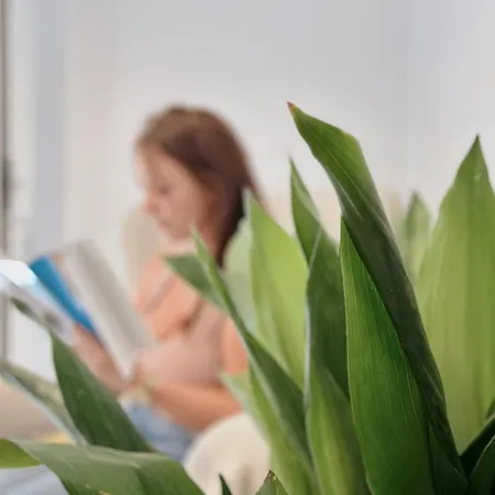 Puebla Deluxe L Privacidad E Intimidad بيت للعطل