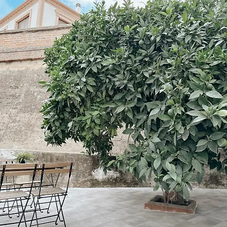 Puebla Deluxe L Privacidad E Intimidad * Puebla de Alcocer