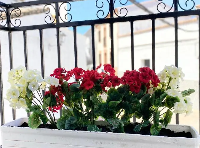 Puebla Deluxe L Privacidad E Intimidad *