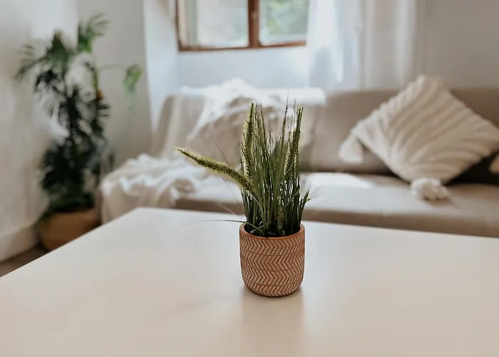 Puebla Deluxe L Privacidad E Intimidad *