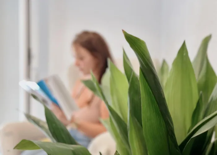 Puebla Deluxe L Privacidad E Intimidad Casa de Férias