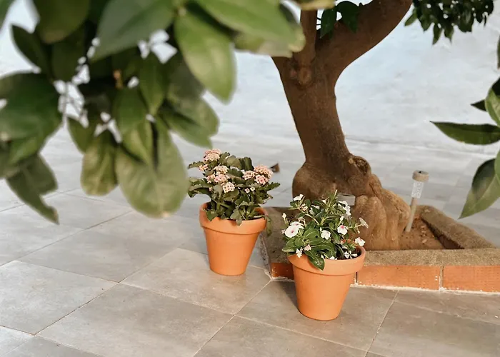 Puebla Deluxe L Privacidad E Intimidad Casa de Férias *