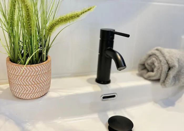 Puebla Deluxe L Privacidad E Intimidad *